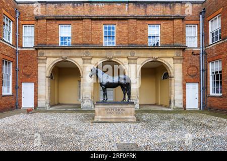 Statue des Rennpferdes Hyperion vor den Jockey Club Rooms, Newmarket, eine Marktstadt im West Suffolk-Viertel Suffolk, Ostengland Stockfoto