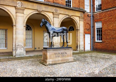 Statue des Rennpferdes Hyperion vor den Jockey Club Rooms, Newmarket, eine Marktstadt im West Suffolk-Viertel Suffolk, Ostengland Stockfoto