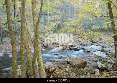 Mill Creek, Hawk's Nest State Park, West Virginia Stockfoto