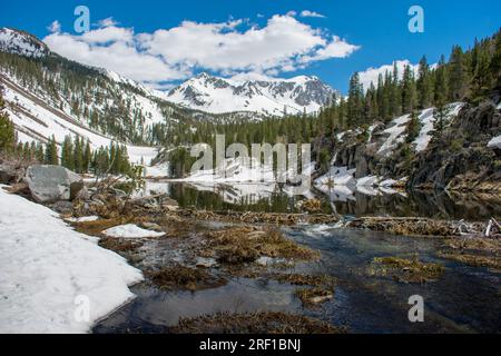 Der unberührte McGee Pass Trail in Kalifornien enthüllt die bezaubernde Schönheit einer Quelle der High Sierra mit schmelzendem Schnee, der klare Bäche speist und reflektiert Stockfoto