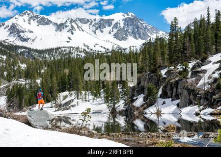 Ein unerschrockener Wanderer steht auf dem McGee Pass Trail in Kalifornien und reflektiert sich auf dem ruhigen Bergsee inmitten des auftauenden Schnees und der üppigen Kiefernwälder Stockfoto