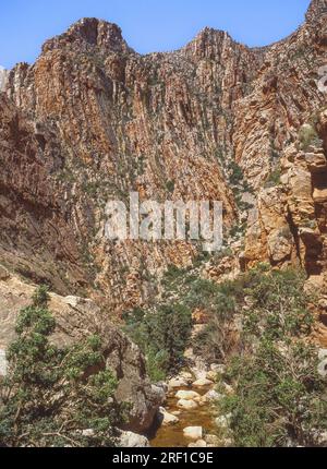 Der Swartberg-Pass führt über die Swartberg-Berge am Rand der Little Karoo in der Provinz Westkap von Südafrika. Stockfoto