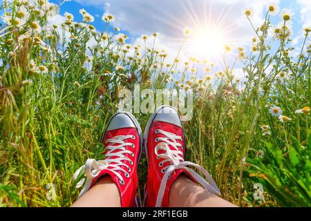 Ein Paar Füße in leuchtend roten Sneakern aus Canvas finden Trost inmitten eines farbenfrohen Feldes von Gänseblümchen vor der Kulisse des ruhigen blauen Himmels an einem sonnigen Ort Stockfoto