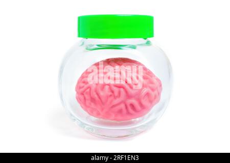 Rosafarbenes, gelee ähnliches menschliches Hirnmodell in einem Glasgefäß, isoliert auf weißem Hintergrund. Kreatives Konzept in Bezug auf Neurologie, Neurowissenschaften und Brai Stockfoto