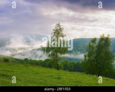 karpatanische Landschaft mit bewaldeten Hügeln. Blick in das ferne Tal voller Nebel. bewölkter Morgen im Frühling Stockfoto