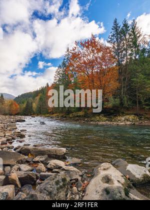Landschaft mit Steinen und Felsen am Ufer eines Flusses. Herbstlandschaft in den Bergen Stockfoto