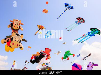 Eine Sammlung von Hunderten atemberaubenden 3D Drachen schmückte heute Morgen die Skyline von Southsea in Hampshire im Rahmen des jährlichen Portsmouth International Kite Festival. Die abgebildeten Drachen enthielten Designs von Tieren von Katzen über Kühe bis hin zu Meeresbewohnern, von denen viele größer als ein Auto waren. Stockfoto