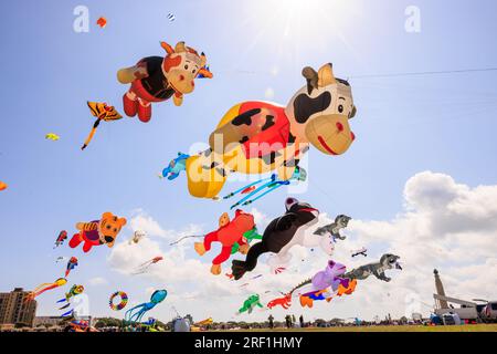 Eine Sammlung von Hunderten atemberaubenden 3D Drachen schmückte heute Morgen die Skyline von Southsea in Hampshire im Rahmen des jährlichen Portsmouth International Kite Festival. Die abgebildeten Drachen enthielten Designs von Tieren von Katzen über Kühe bis hin zu Meeresbewohnern, von denen viele größer als ein Auto waren. Stockfoto