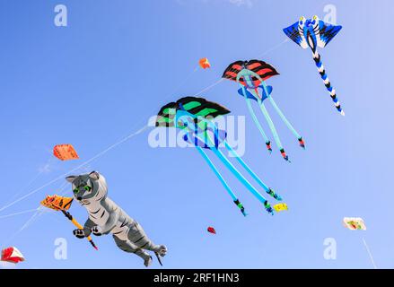 Eine Sammlung von Hunderten atemberaubenden 3D Drachen schmückte heute Morgen die Skyline von Southsea in Hampshire im Rahmen des jährlichen Portsmouth International Kite Festival. Die abgebildeten Drachen enthielten Designs von Tieren von Katzen über Kühe bis hin zu Meeresbewohnern, von denen viele größer als ein Auto waren. Stockfoto