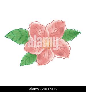 vektorbild der Aquarell-Hibiskusblüte Stock Vektor