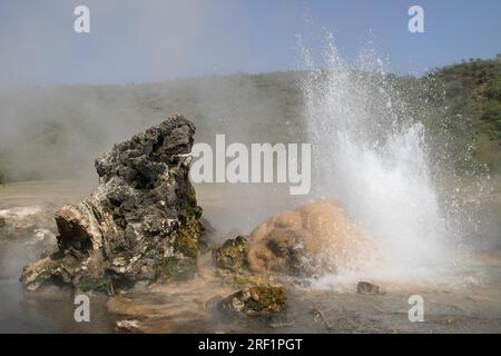 Heiße Quellen und Geysire am Lake Bogoria in Kenia Stockfoto