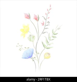 Uber die Zusammensetzung von Wildblumen-Aquarellvektoren Stock Vektor