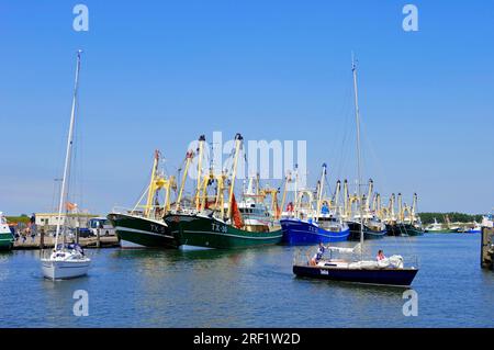 Schiffe im Hafen, Oudeschild, Texel, Niederlande, Fischerboot, Krabbenschneider Stockfoto