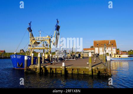 Fischerboot im Hafen, Oudeschild, Texel, Niederlande Stockfoto