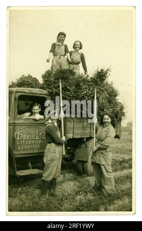 Original aus der Zeit WW2, Postkarte aus den 40er Jahren mit lächelnden Mädchen der Land Army, die typische legere Arbeitskleidung aus Latzhose und Kopftuch tragen. Auf der Rückseite der Postkarte steht „Bohnen stapeln“, aber es sieht so aus, als würden sie nach der Ernte der Bohnen verbliebenes Stroh einbringen, das für Tierfutter verwendet wird. Die Mädchen stapeln den Strohhalm in einen Bees Ltd. Ladewagen, der von einem jungen Mann gefahren wird. Auf der Trucktür steht die Beschilderung Bees Ltd, Liverpool und Chester. Mit einer Telefonnummer von Chester. Cheshire, England, Großbritannien Stockfoto