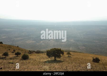 Ngong Hills Forest Wandern Erholungs-Picknick Ort Windkraftstation kenianische Landschaften Sonnenuntergang Sonnenaufgang Sundowner Great Rift Valley Kajiado Coun Stockfoto