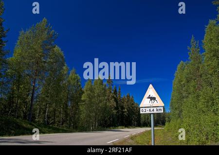 Warnschild „Moose überquert die Straße“, Norwegen Stockfoto