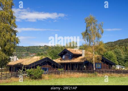 Häuser mit Grasdach, Lillehammer, Norwegen Stockfoto