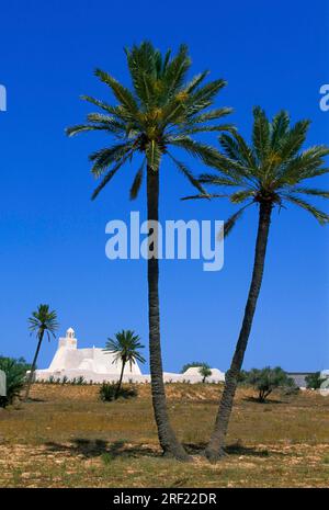 Fadhloun-Moschee auf Djerba, Tunesien Stockfoto