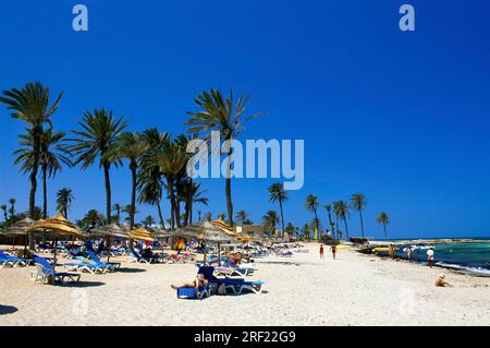 Strand in der Oase von Zarzis, Djerba Island, Tunesien Stockfoto