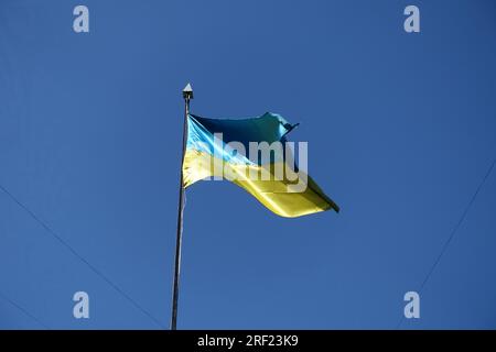 Die ukrainische Flagge winkt im Wind in einem blauen Himmel Stockfoto