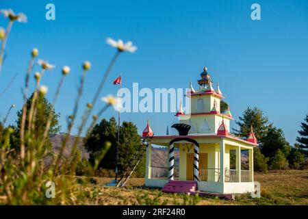 Kreative Aufnahme: Schöner Hindu-Tempel, der dem Schlangengott Nag Devta gewidmet ist, weiße Blumen im Vordergrund. Himalaya-Wiese, Uttarakhand, Indien. Stockfoto