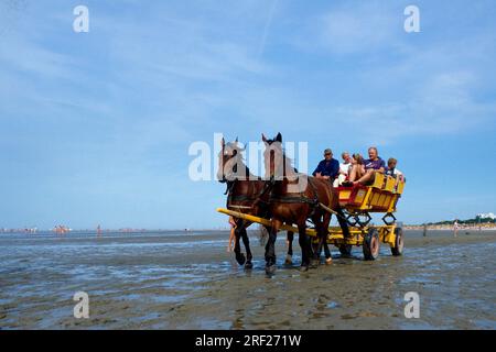 Kutsche im Wattenmeer, Pferdekutschen bei Ebbe, Cuxhaven-Duhnen, Niedersachsen, Deutschland Stockfoto