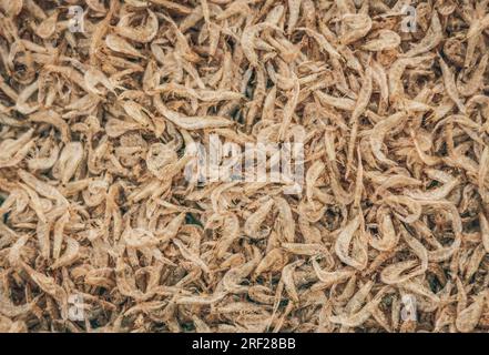 Jede Menge trockene Garnelen im Hintergrund zum Verkauf. Nahaufnahmen mit Pfahlstruktur in leuchtend hellrosa, blassen Farbtönen Stockfoto