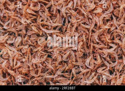 Jede Menge trockene Garnelen im Hintergrund zum Verkauf. Nahaufnahmen mit Pfahlstruktur in leuchtend hellrosa, blassen Farbtönen Stockfoto