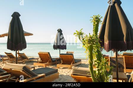 Reihen von Liegestühlen und Sonnenschirmen am Sandstrand Stockfoto