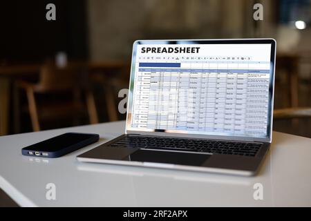 Business Financial Tabellenkalkulation Dokumentinformationen Daten Analyst Statistik Tabellenkalkulation auf Computer: Bezugsdiagramm Budgetplanung und Fakturierung Stockfoto