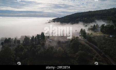 Bucaco - Bussaco Palace Hotel aus der Vogelperspektive Stockfoto