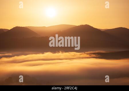 Farbige sunrise in den bewaldeten Berghang mit Nebel Stockfoto