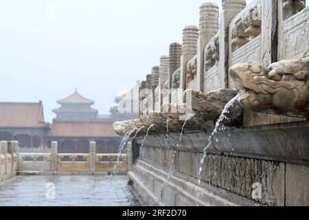 (230731) -- PEKING, 31. Juli 2023 (Xinhua) -- Regenwasser wird von Wasserspeiern in Form von Chi, einem legendären Drachen in der chinesischen Kultur, in der Verbotenen Stadt in Peking, Hauptstadt von China, verschüttet, 31. Juli 2023. Da die Stadt Peking in den letzten Tagen von Regenfällen heimgesucht wurde, blieb die Verbotene Stadt dank des schallgedämpften Abflusssystems frei von Überschwemmungen. Das System, das ursprünglich in der Ming-Dynastie (1368-1644) erbaut wurde, beherbergt noch immer alte Regengräben mit einer Länge von bis zu 15 Kilometern, von denen 13 Kilometer verborgen sind. All diese Gräben führen zum inneren Golden River, der mit dem umliegenden Mo verbunden ist Stockfoto