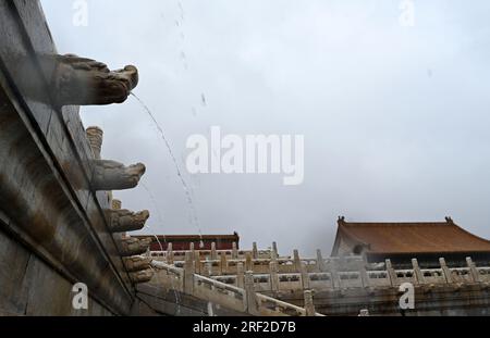 (230731) -- PEKING, 31. Juli 2023 (Xinhua) -- Regenwasser wird von Wasserspeiern in Form von Chi, einem legendären Drachen in der chinesischen Kultur, in der Verbotenen Stadt in Peking, Hauptstadt von China, verschüttet, 31. Juli 2023. Da die Stadt Peking in den letzten Tagen von Regenfällen heimgesucht wurde, blieb die Verbotene Stadt dank des schallgedämpften Abflusssystems frei von Überschwemmungen. Das System, das ursprünglich in der Ming-Dynastie (1368-1644) erbaut wurde, beherbergt noch immer alte Regengräben mit einer Länge von bis zu 15 Kilometern, von denen 13 Kilometer verborgen sind. All diese Gräben führen zum inneren Golden River, der mit dem umliegenden Mo verbunden ist Stockfoto