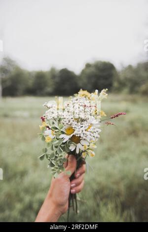 Blumenstrauß mit wilden Pflaumen in der Hand draußen Stockfoto