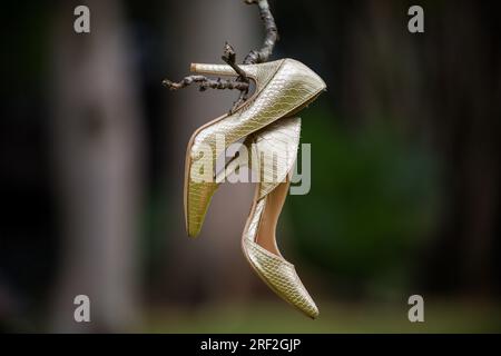 Braut wunderschöne atemberaubende Schuhe Hochzeit Stockfoto