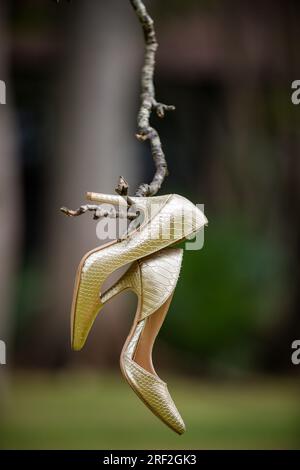 Braut wunderschöne atemberaubende Schuhe Hochzeit Stockfoto