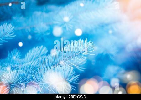 Weihnachtsbaum und Lichter bokeh herum. Weihnachtsgrußkarte. Konzept für Weihnachten und Neujahr Stockfoto