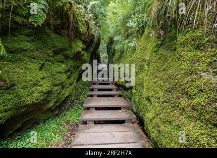 canyon Drachenschlucht im Thüringer Wald, Deutschland, Thüringen, NSG Waelder mit Schluchten zwischen Wartburg und hohe Sonne, Eisenach Stockfoto