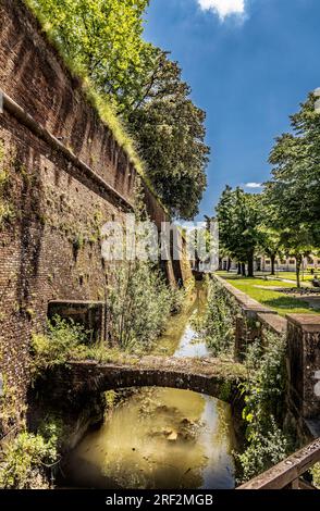 Mauern rund um die toskanische Stadt Lucca, Italien Stockfoto