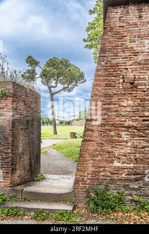 Mauern rund um die toskanische Stadt Lucca, Italien Stockfoto