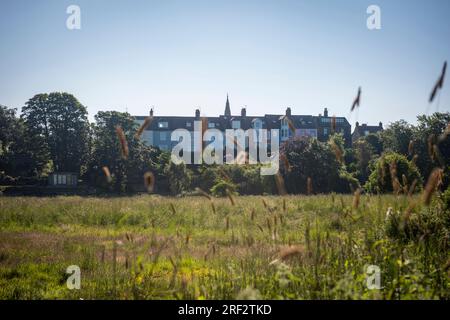 Bunte Häuser am Ufer des Flusses Aln in Alnmouth, Northumberland, Großbritannien Stockfoto