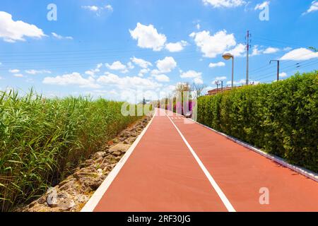 Radweg und Fußweg am Flussufer entlang. Platz für Workouts und Spaziergänge Stockfoto