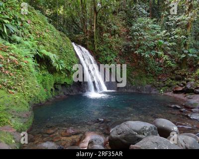 ein Wasserfall in der üppigen Vegetation auf einer karibischen Insel namens Guadeloupe Stockfoto