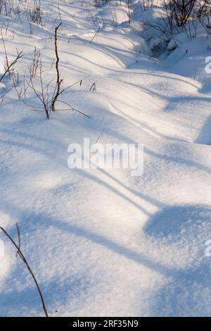 Große Schneewehen nach Schneefällen und Schneestürmen, die Wintersaison mit kaltem Wetter und vielen Niederschlägen in Form von Schnee Stockfoto