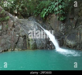 ein Wasserfall in der üppigen Vegetation auf einer karibischen Insel namens Guadeloupe Stockfoto