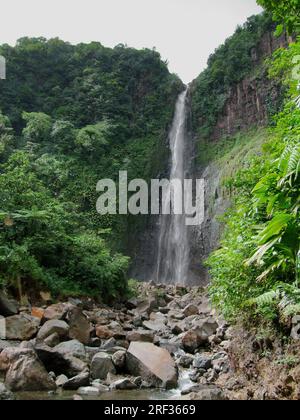 ein Wasserfall in der üppigen Vegetation auf einer karibischen Insel namens Guadeloupe Stockfoto