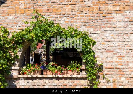 Old Country Farm, Moravska Nova Ves, Südmähren, Tschechische Republik Stockfoto