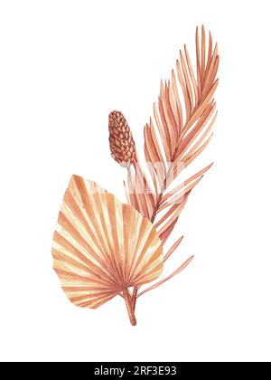 Getrocknete tropische Palmenblätter bilden Bouquets. Pastellfarbene, wässrige Blumenvorlage, isolierte Kollektion für Hochzeitskranz, Blumenstrauß, Dekorationsdesign Stockfoto